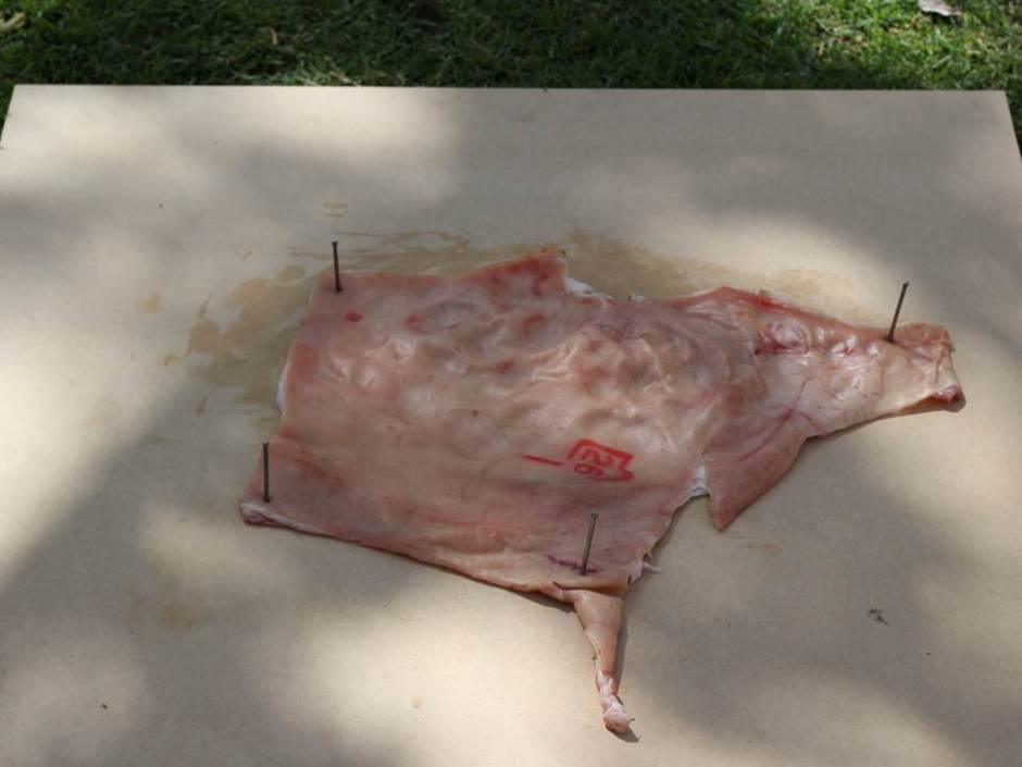 Performprint2012 (40)