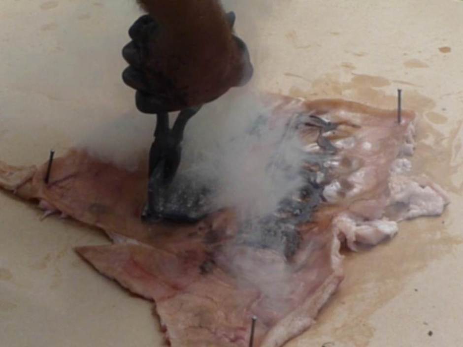 Performprint2012 (41)